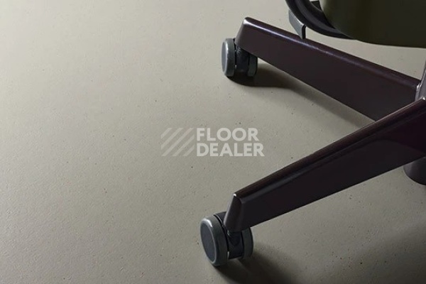 Линолеум Marmoleum Solid Cocoa 3589 nori фото 2 | FLOORDEALER